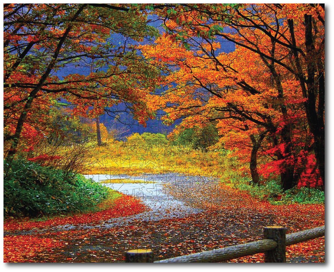The Beautiful Colors of the Autumn Months The Beautiful Colors of the Autumn Months