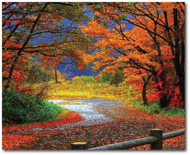 The Beautiful Colors of the Autumn Months