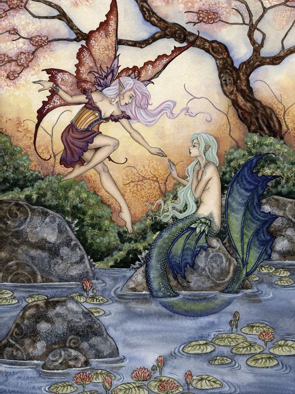 Amy Brown "The Introduction"