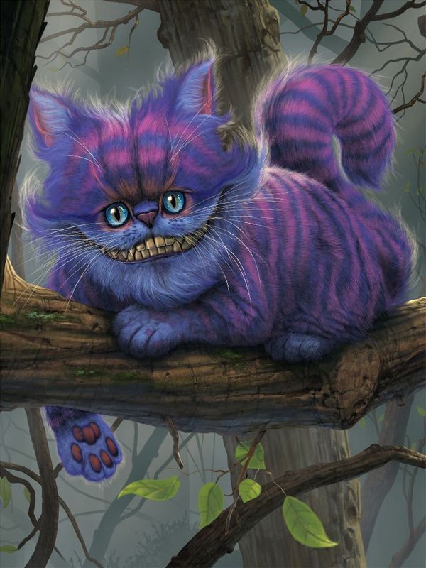 Vincent Hie Vincent Hie "Cheshire Cat"