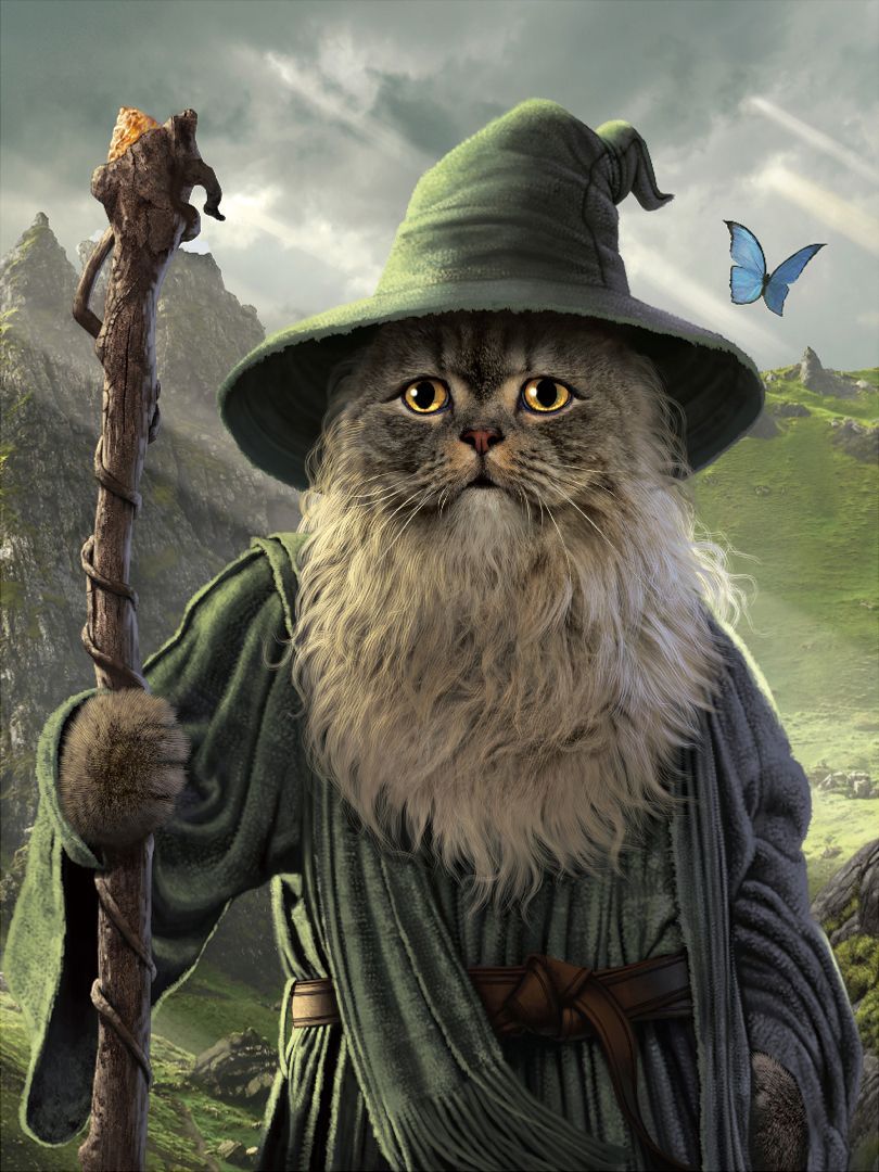 Vincent Hie "Catdalf"