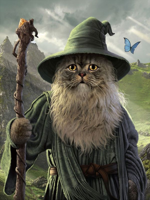 Vincent Hie Vincent Hie "Catdalf"