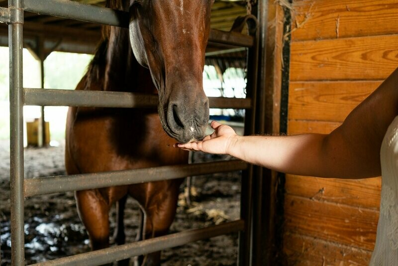 Cowgirl Jo's Bookkeeping Roundup