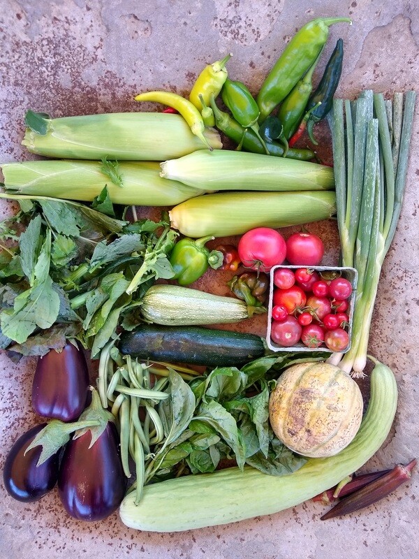 Garden Subscription 4 Baskets x $40