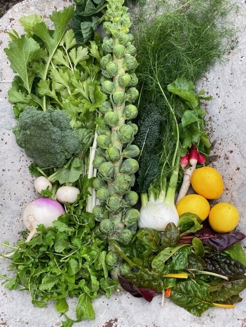 One at a Time Garden Basket $50