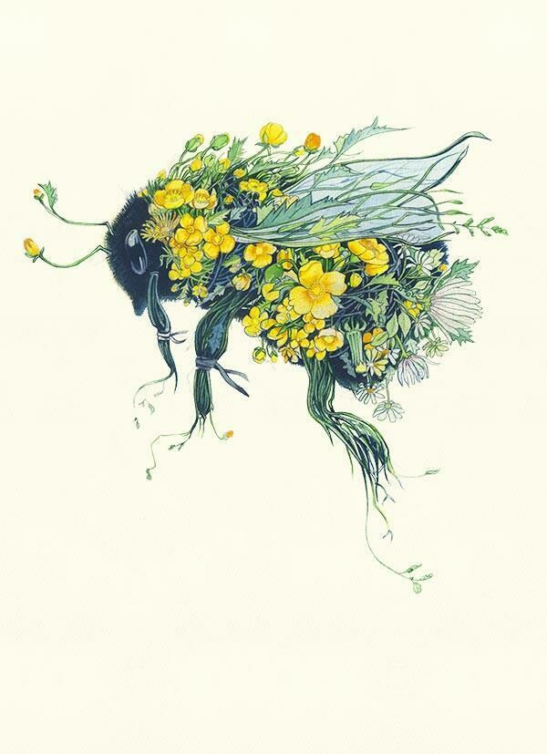 &#39;Bumblebee&#39; Card