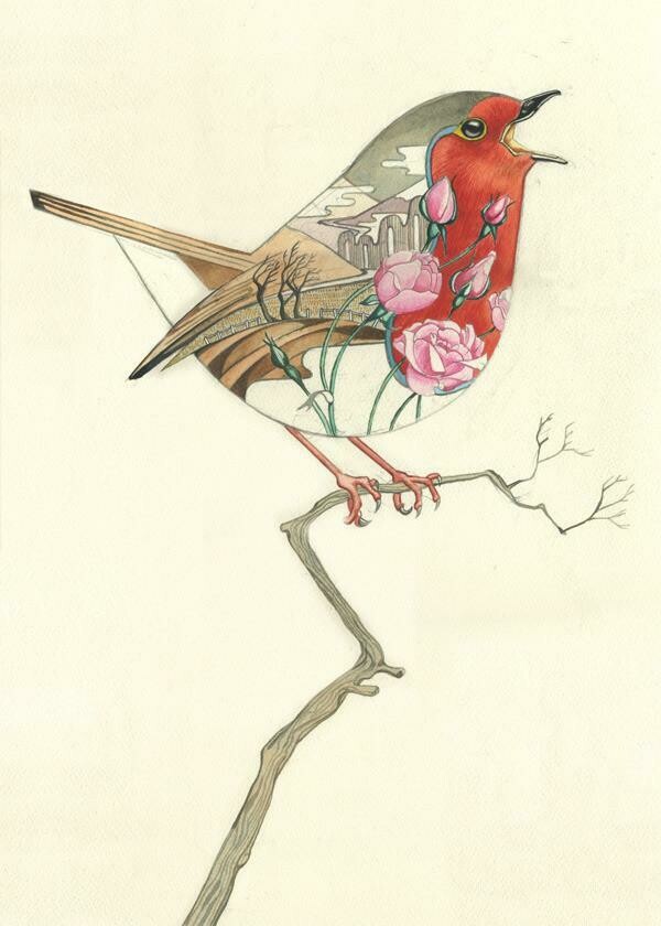 &#39;Robin&#39; Card