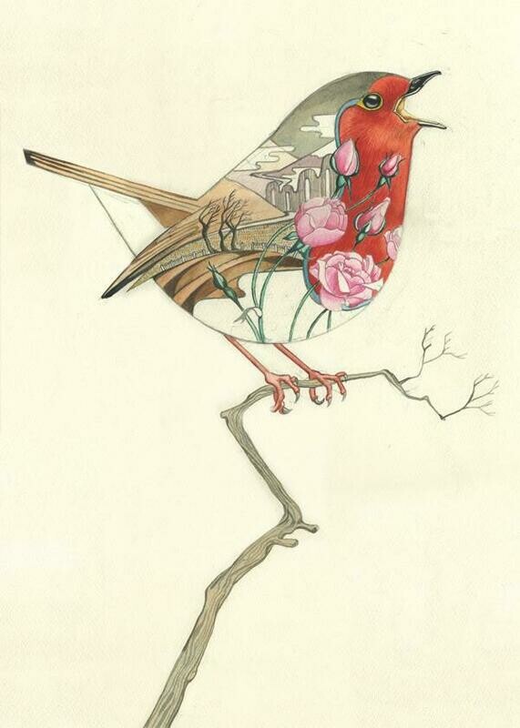 &#39;Robin&#39; Card