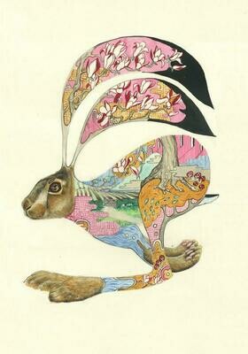 &#39;Brown Hare&#39; Card
