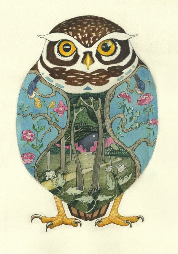 'Little Owl' Card