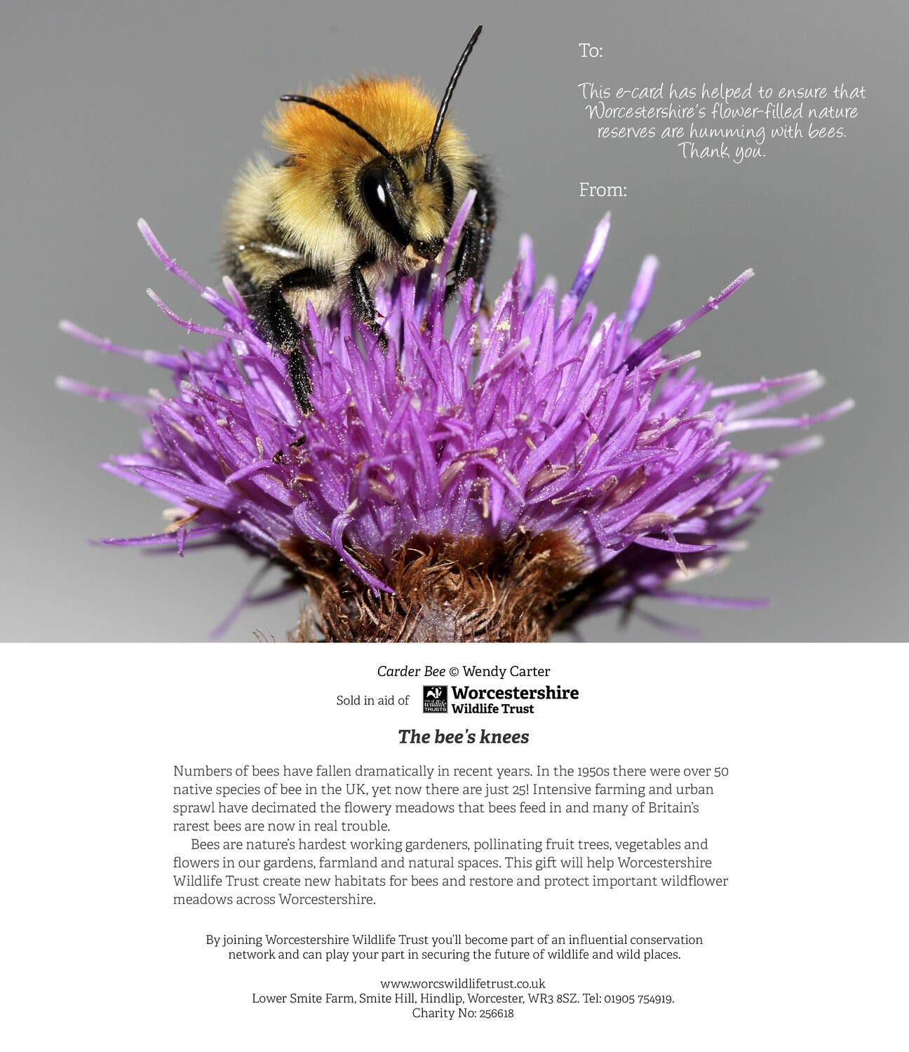 Virtual Gift (e-version) - &#39;The Bee&#39;s Knees&#39;