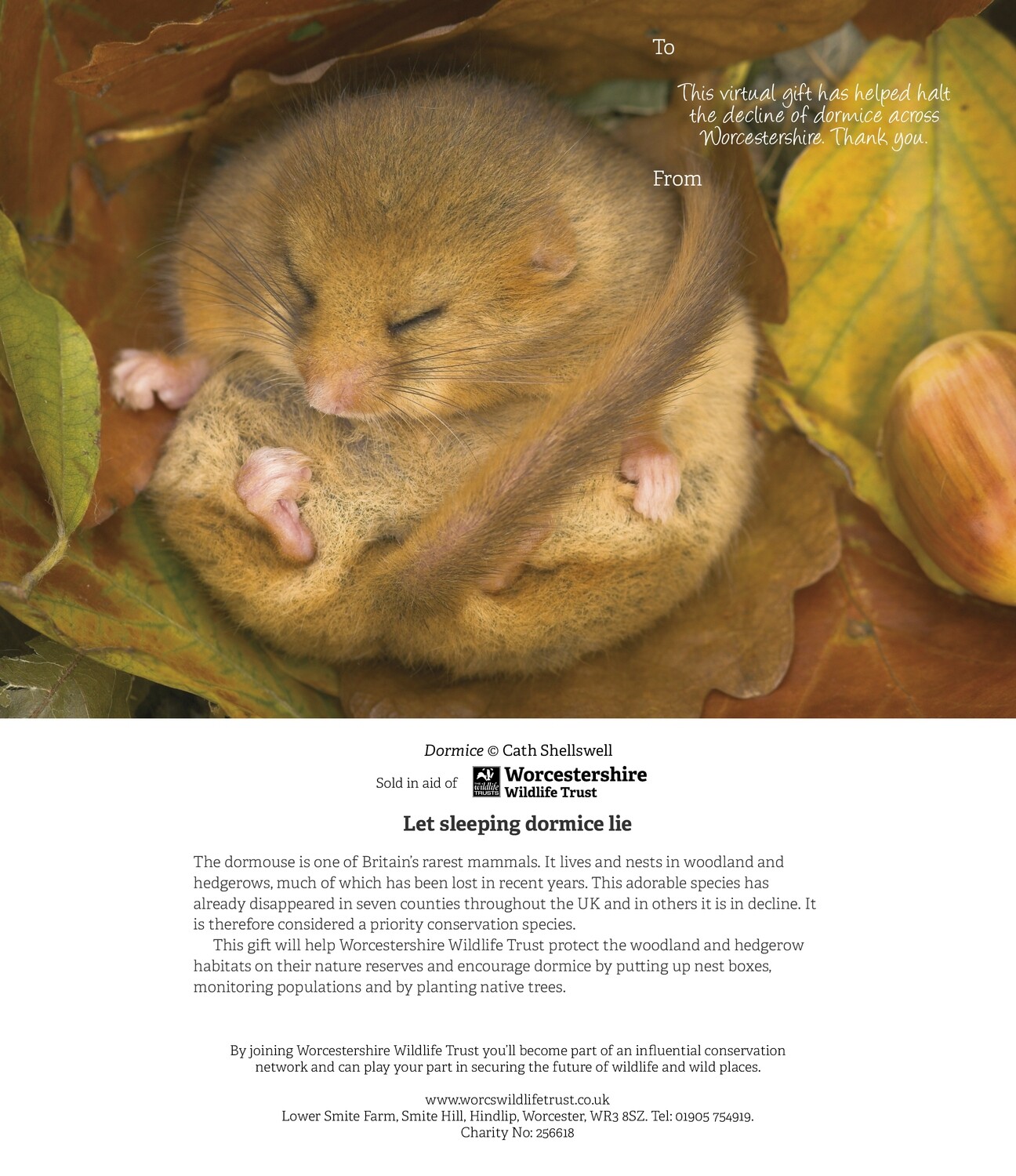 Virtual Gift (e-version) - &#39;Let Sleeping Dormice Lie&#39;
