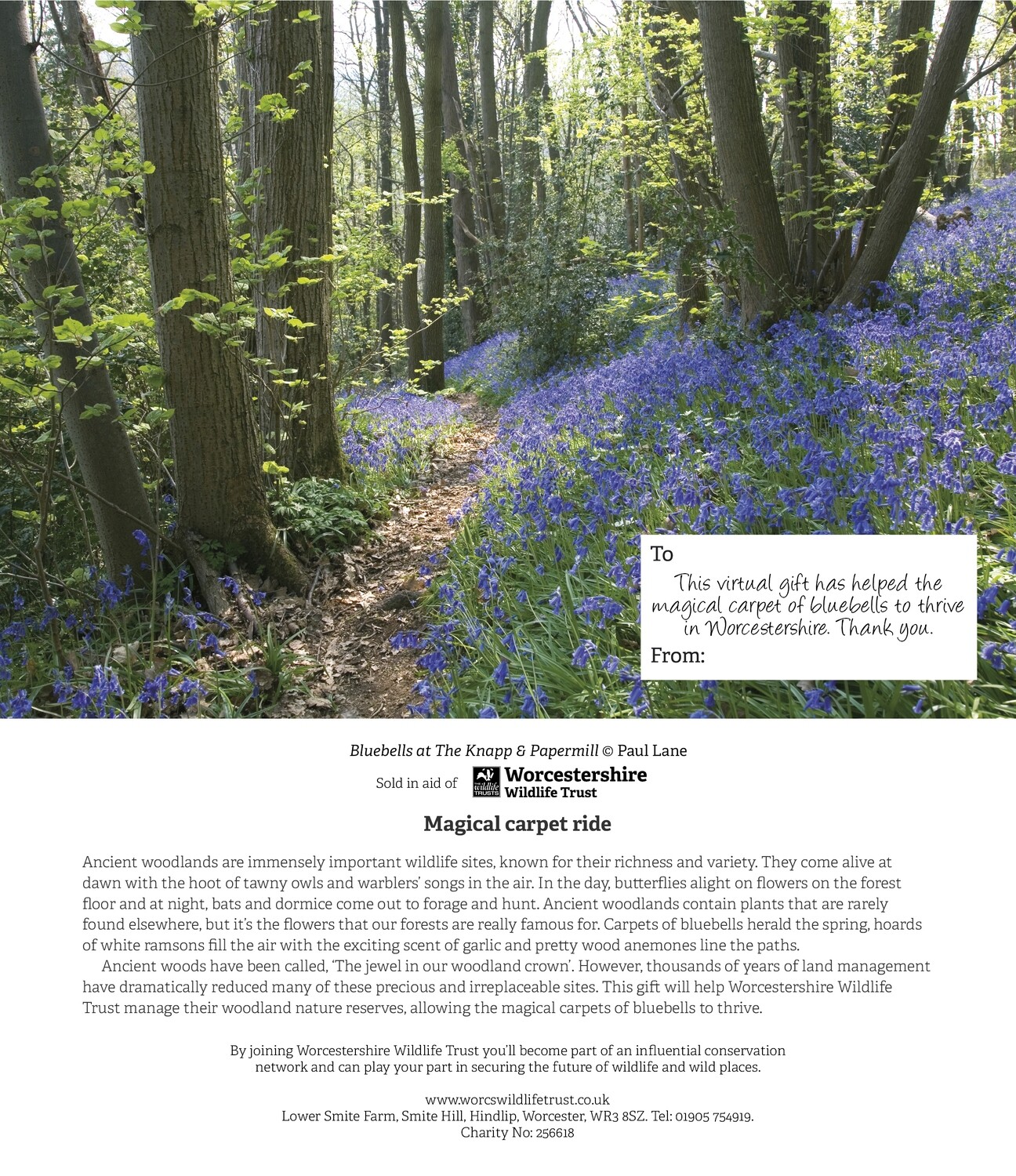 Virtual Gift (e-version) - &#39;A Magical Carpet of Bluebells&#39;