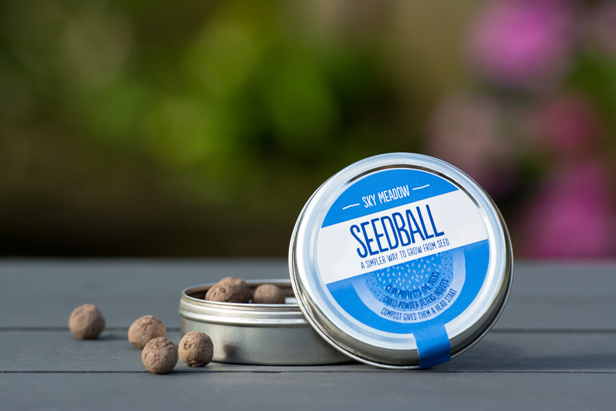 Seedballs - Sky Meadow (blue flowers)