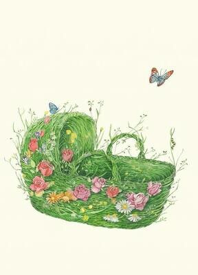 &#39;Moses Basket&#39; Card