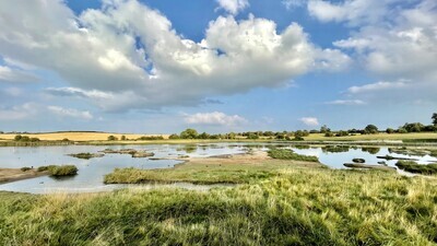 Upton Warren visits