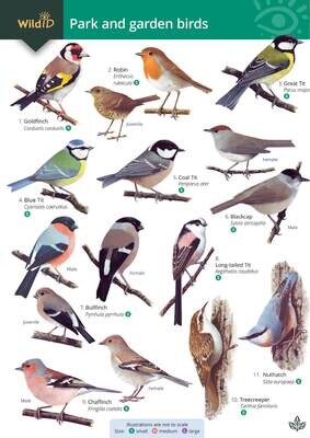 Guide to Park and Garden Birds - fold out chart