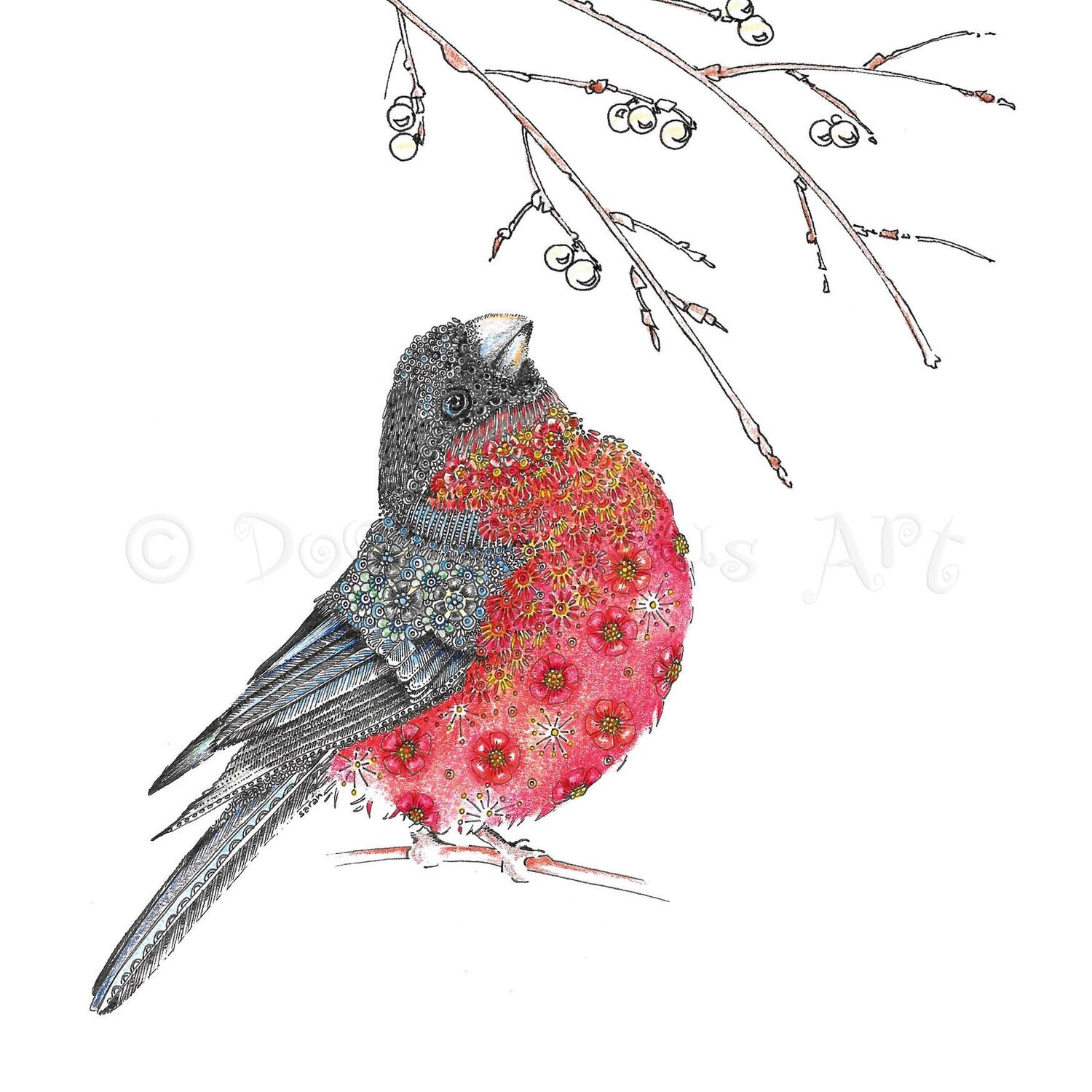 Bullfinch