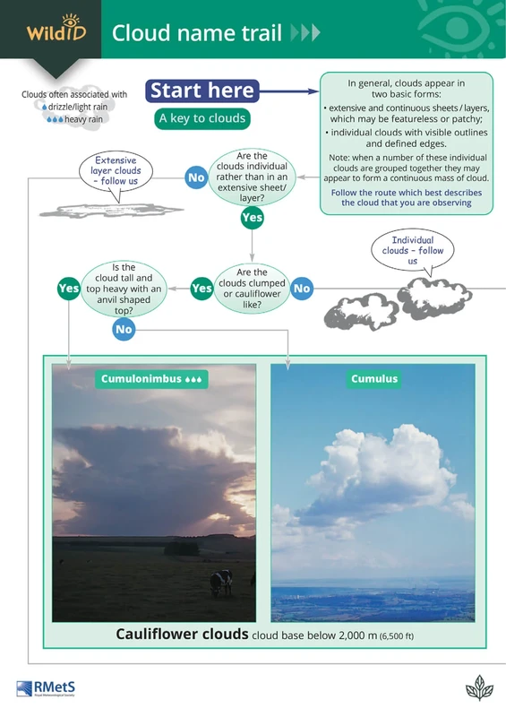 Cloud Name Trail
