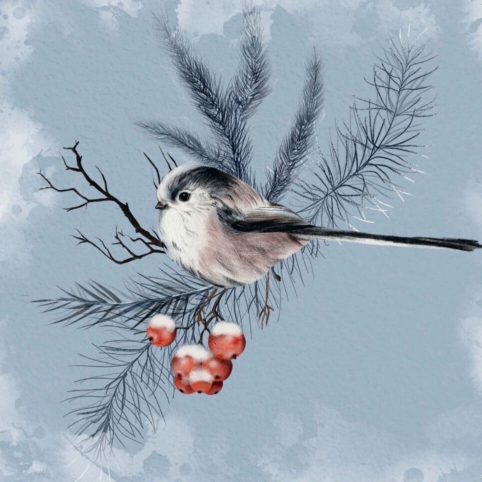 Long-Tailed Tit - pack of 10 Christmas cards