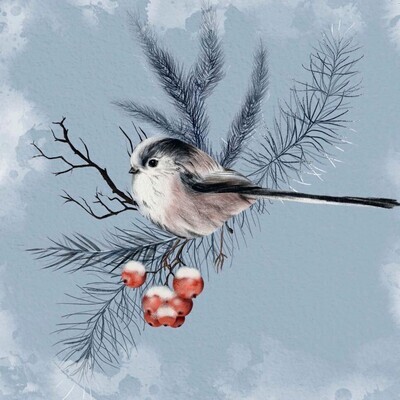 Long-Tailed Tit - pack of 10 Christmas cards