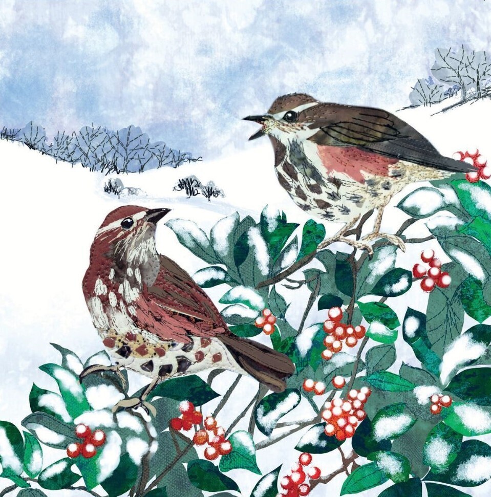 Redwings and Berries - pack of 10 Christmas cards