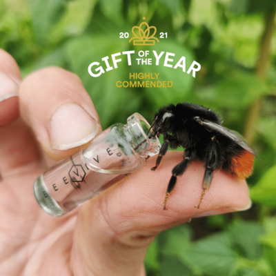 Bee Revival