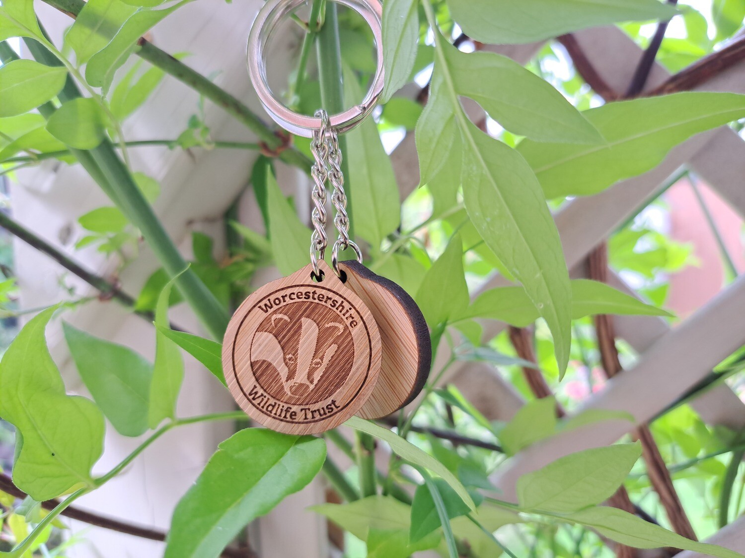 WWT Keyring