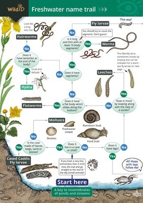 Freshwater Name Trail