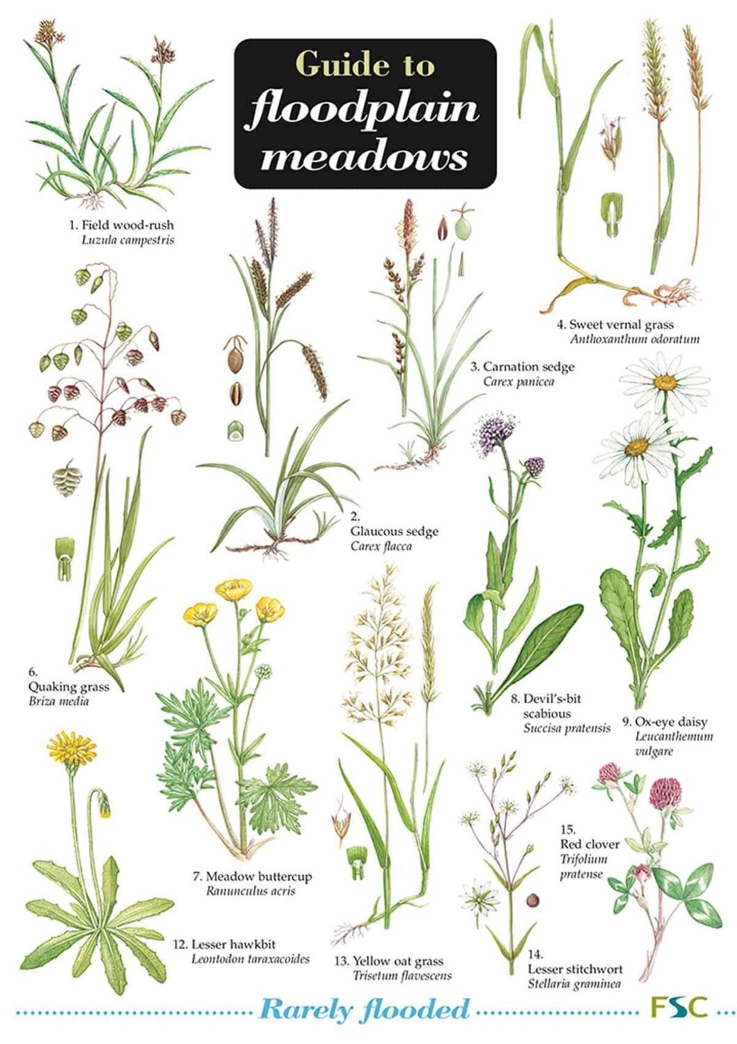 Guide to Floodplain Meadows