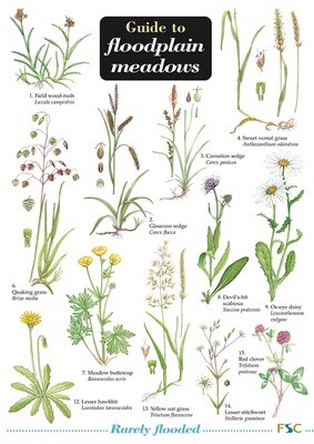 Guide to Floodplain Meadows