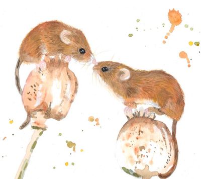 Dormice greeting card