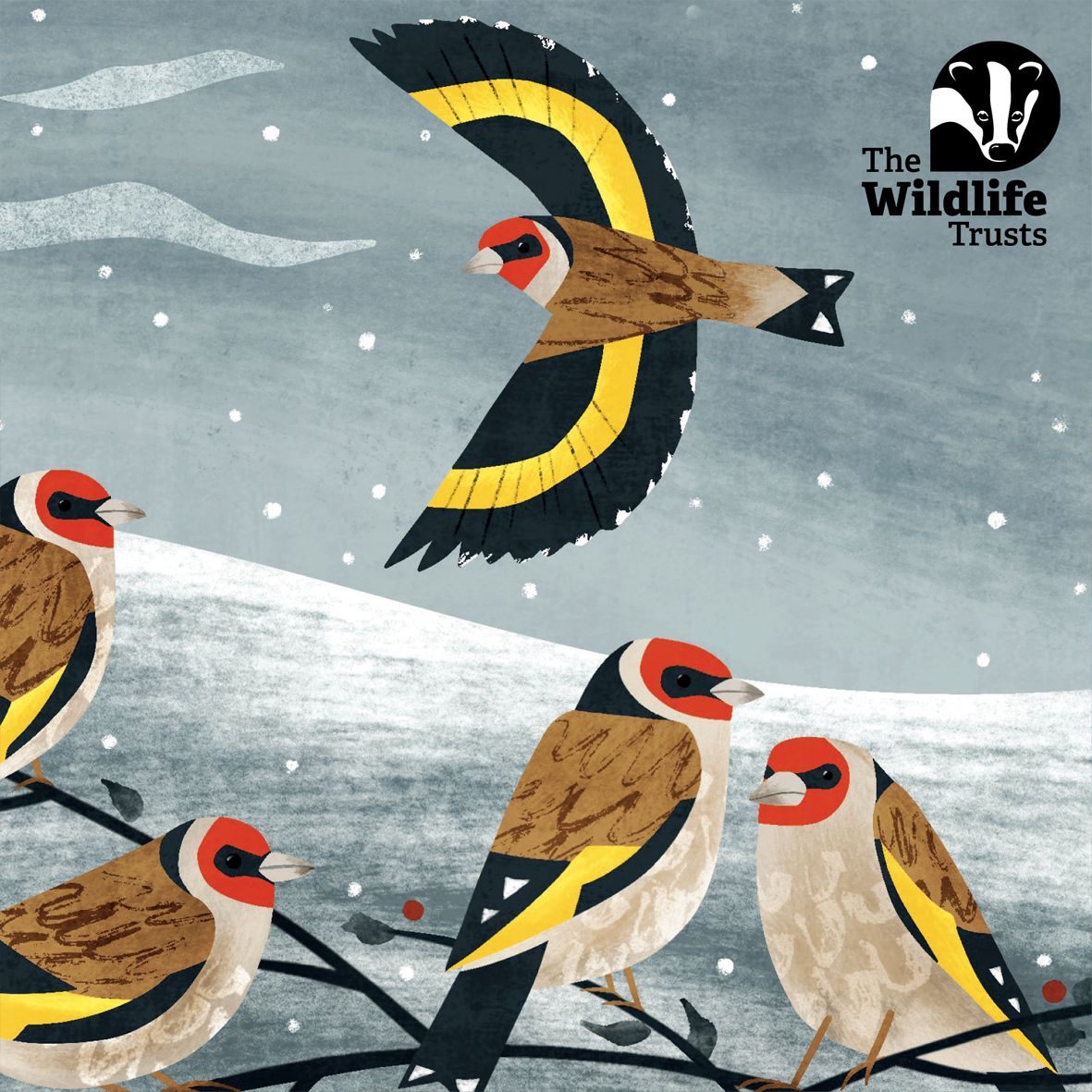 The Wildlife Trusts mixed designs Christmas cards- pack of 10