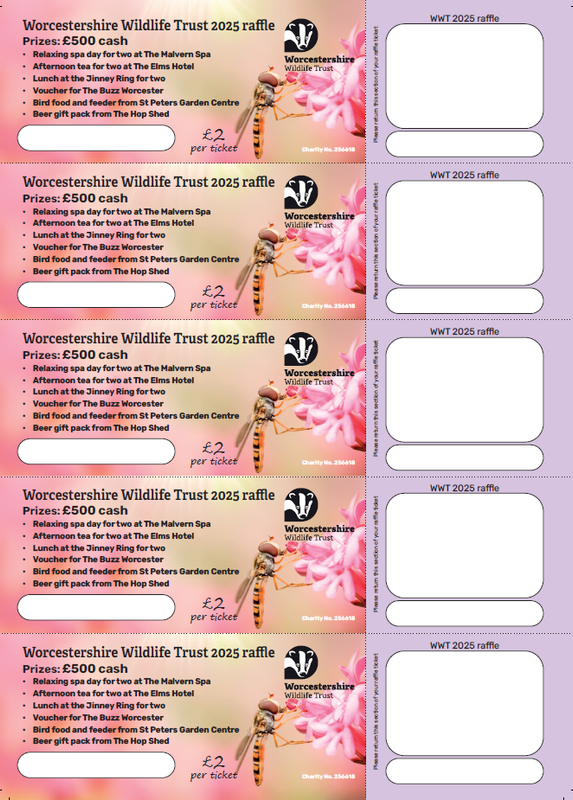 Summer Raffle 2025