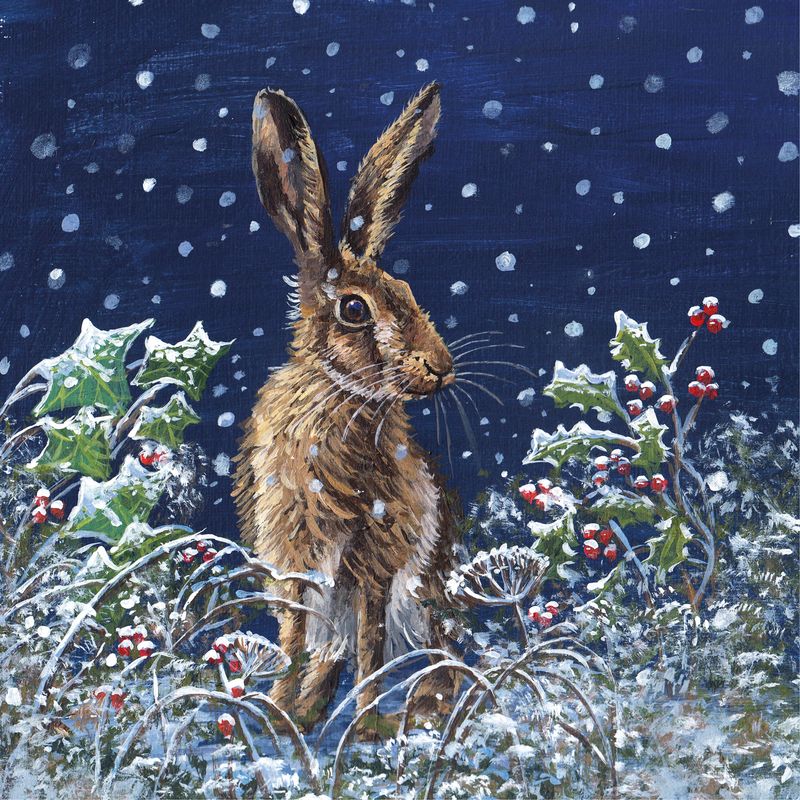 Starry Hare- pack of 10 Christmas cards