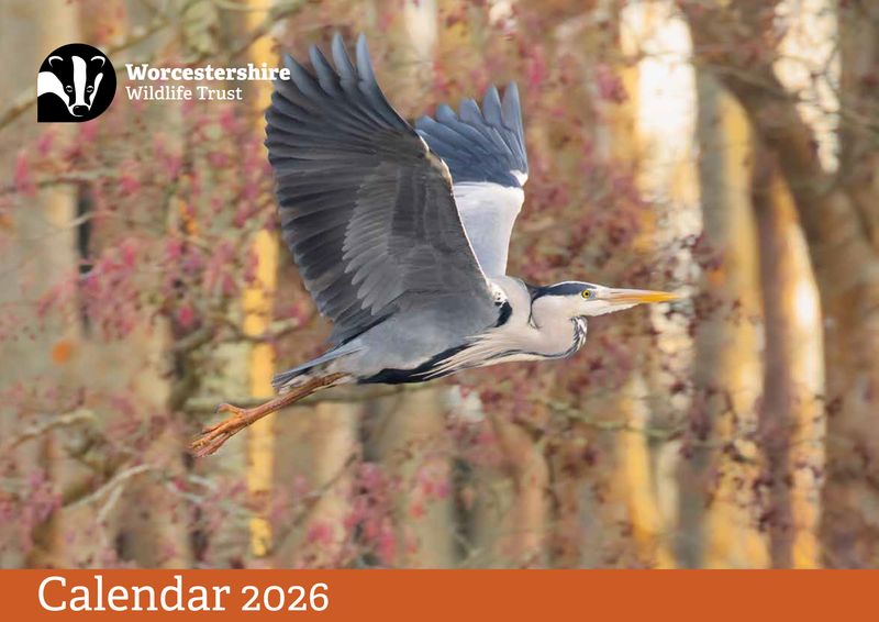 Calendar 2026