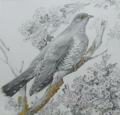 Original wildlife art