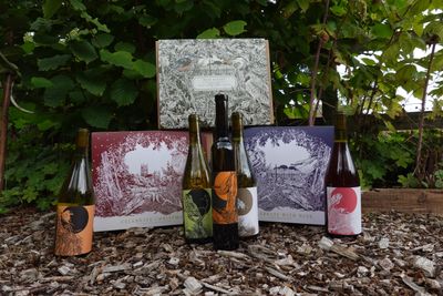 Astley Vineyard wine boxes