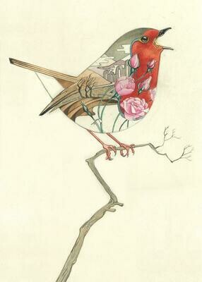'Robin' Card