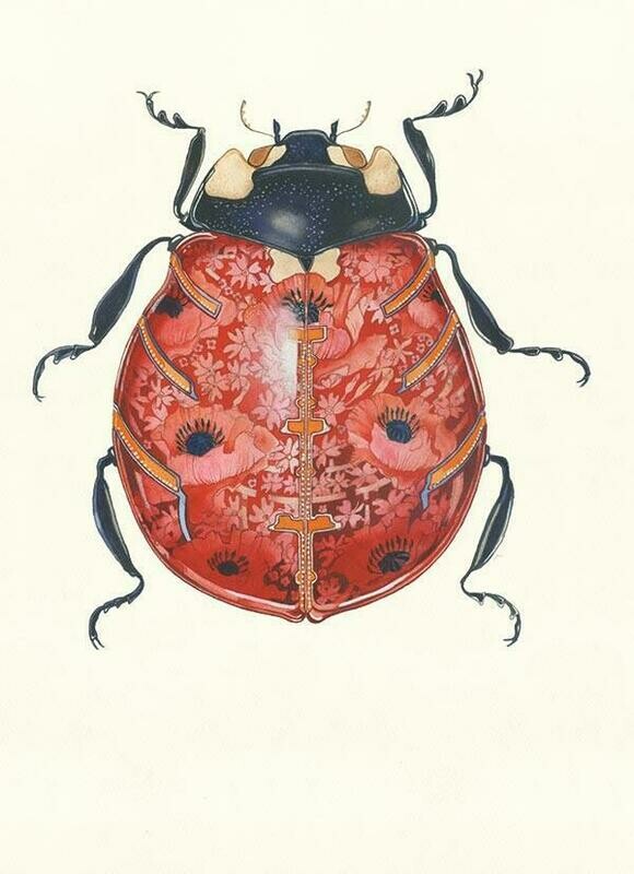 'Ladybird' Card