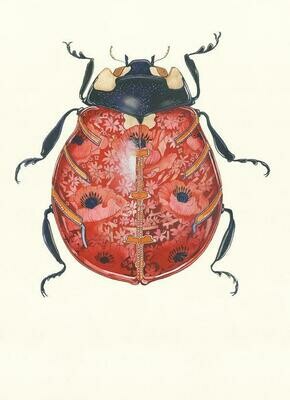 'Ladybird' Card