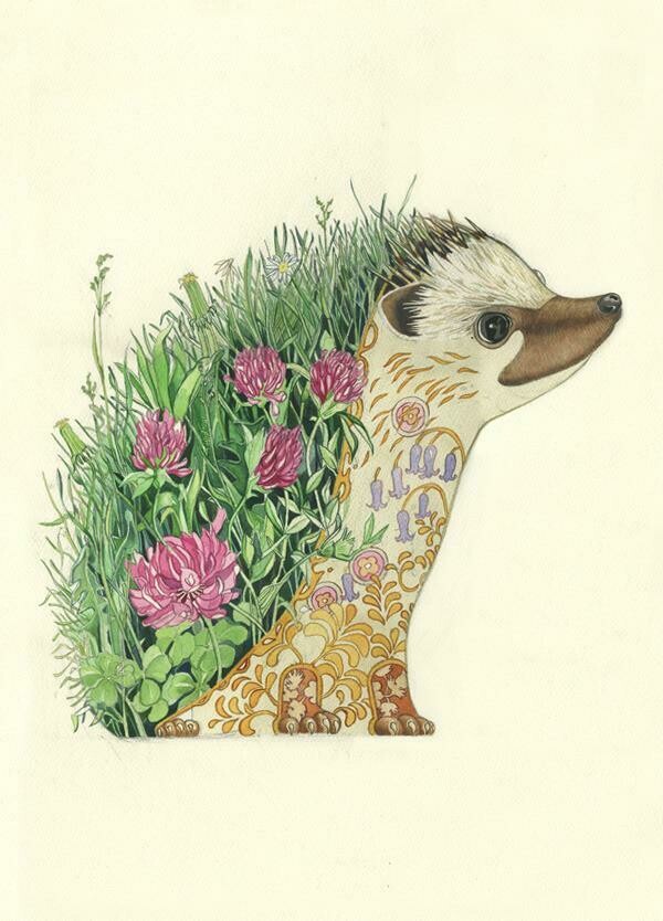 'Hedgehog' Card