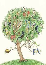 'Dawn Chorus' Card