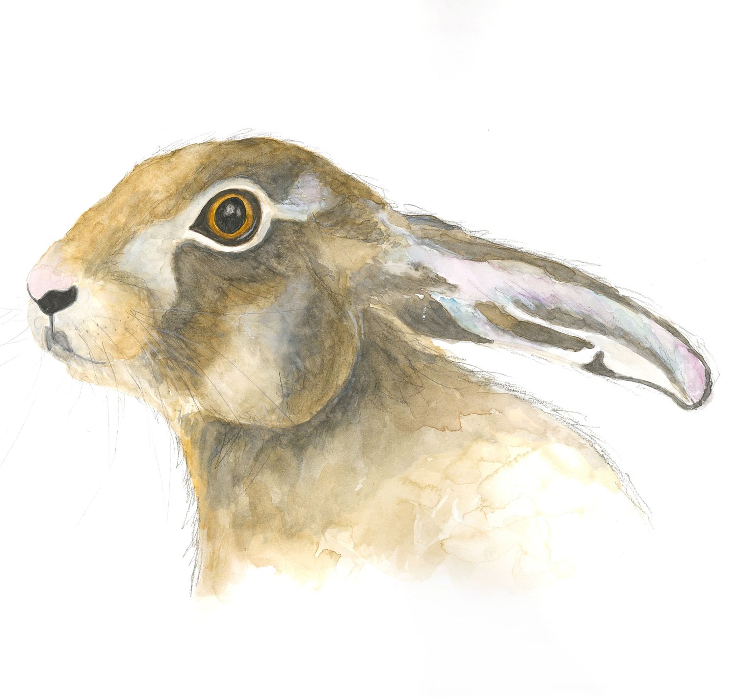 Hope Hare Greeting Card- Fox Crafts