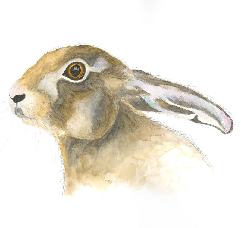 Hope Hare Greeting Card- Fox Crafts