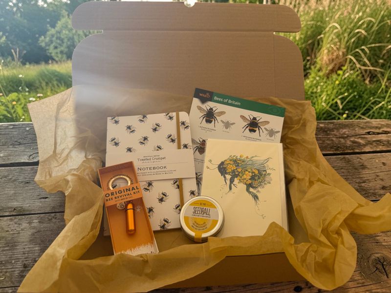 Bee Gift Box