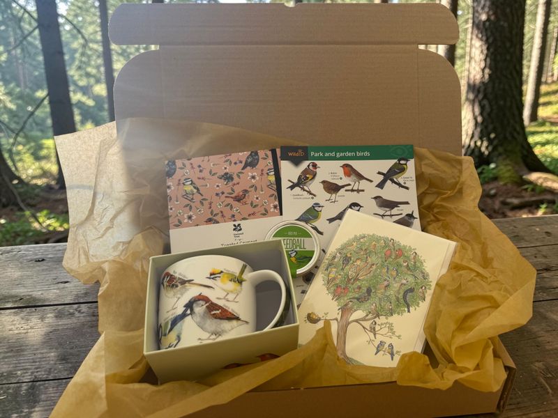 Bird Gift Boxes