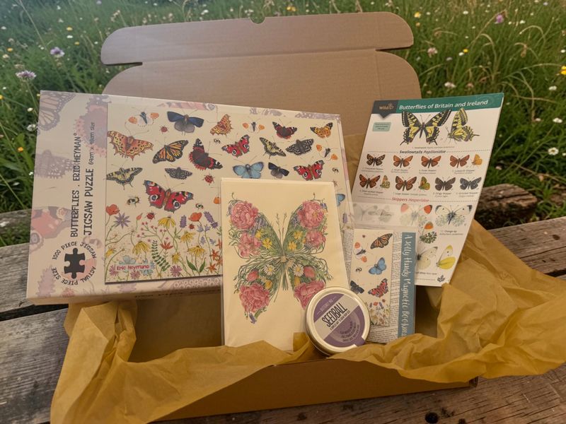 Butterfly Gift Boxes