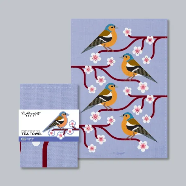 Chaffinches on Cherry Blossom