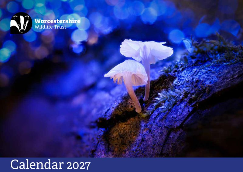 Calendar 2027